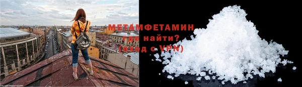 прущие грибы Балабаново