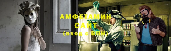 прущие грибы Балабаново