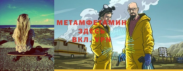прущие грибы Балабаново