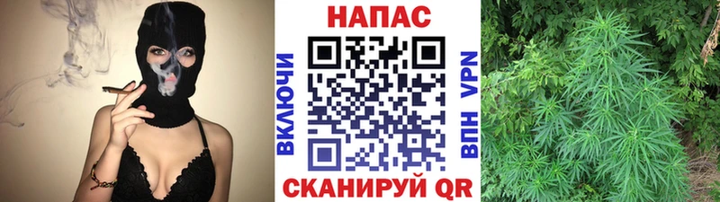 гидра рабочий сайт Вяземский Каннабис сатива